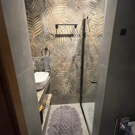 Sunny House Apartament Hanioti